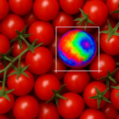 Cherry tomato sorting machine